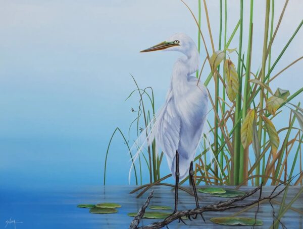 Egret