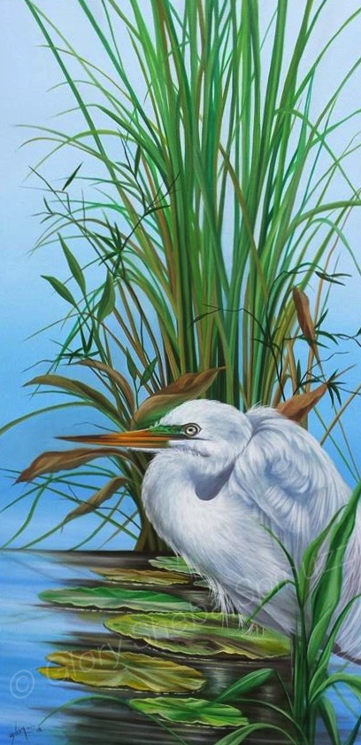 Squating Egret